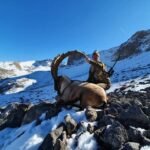 HYBRID IBEX